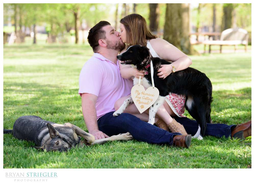 engagement photo dog wearing sign